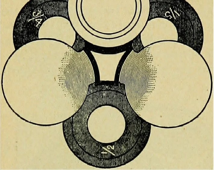 An illustration from The microscope; an introduction to the microscopic methods and to histology, 1911, leaf 51