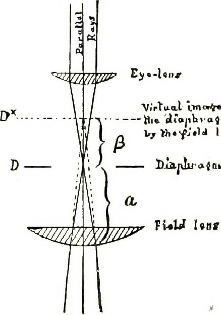An illustration from The microscope; an introduction to the microscopic methods and to histology, 1911, leaf 64