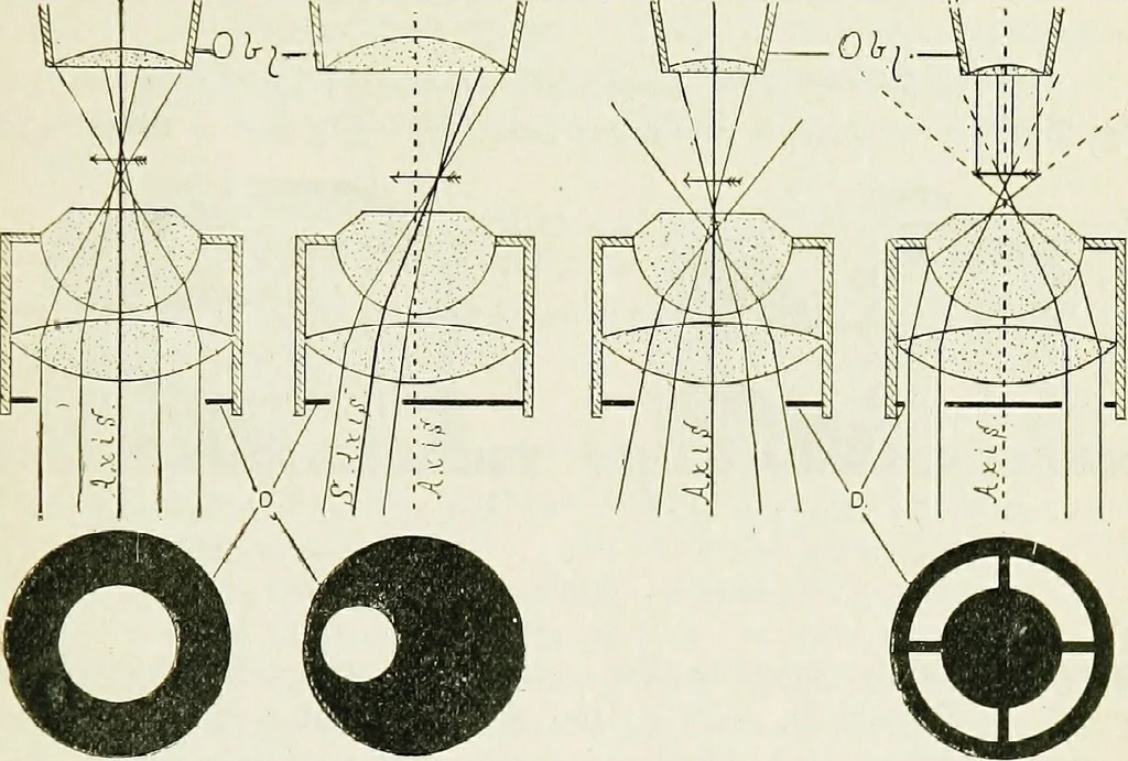 An illustration from The microscope; an introduction to the microscopic methods and to histology, 1911, leaf 76
