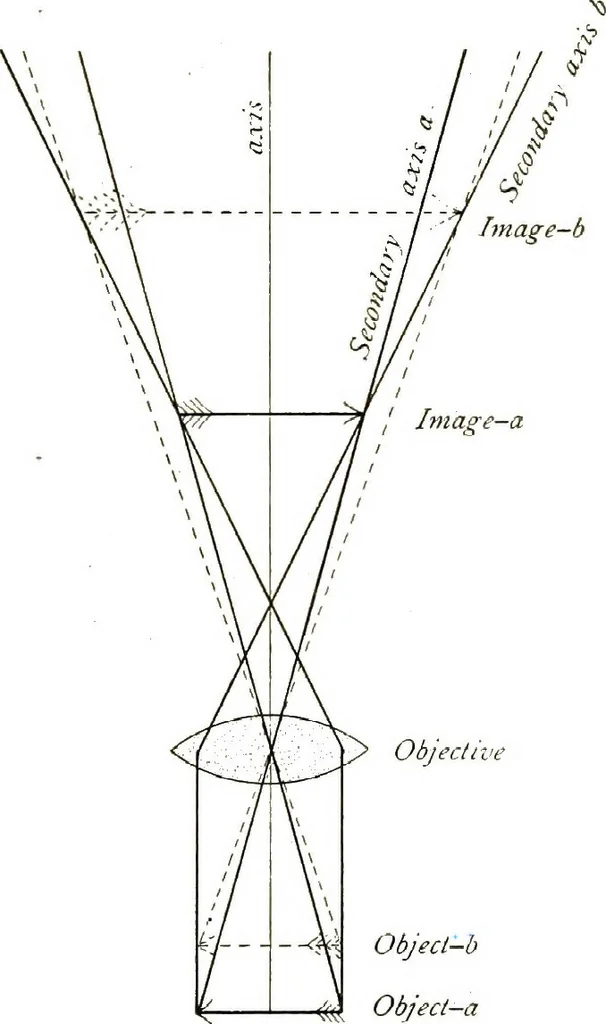 An illustration from The microscope; an introduction to the microscopic methods and to histology, 1911, leaf 86