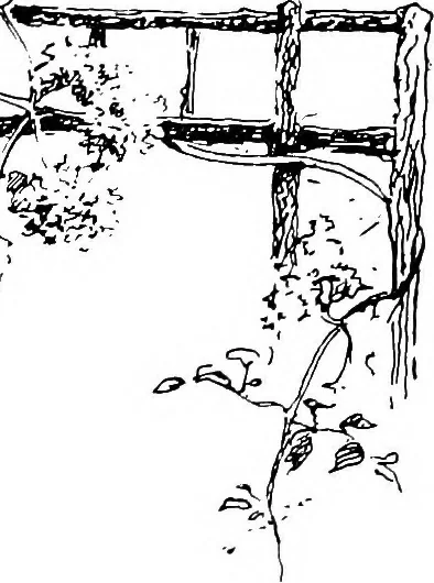 An illustration from The garden that we made, 1920, leaf 14