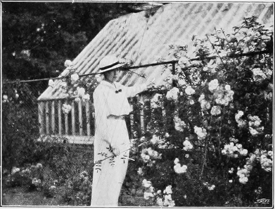 An illustration from The garden that we made, 1920, leaf 21