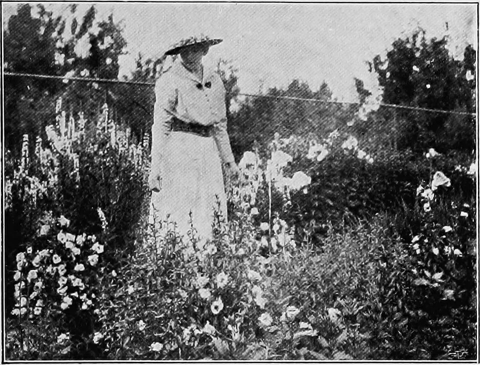 An illustration from The garden that we made, 1920, leaf 22