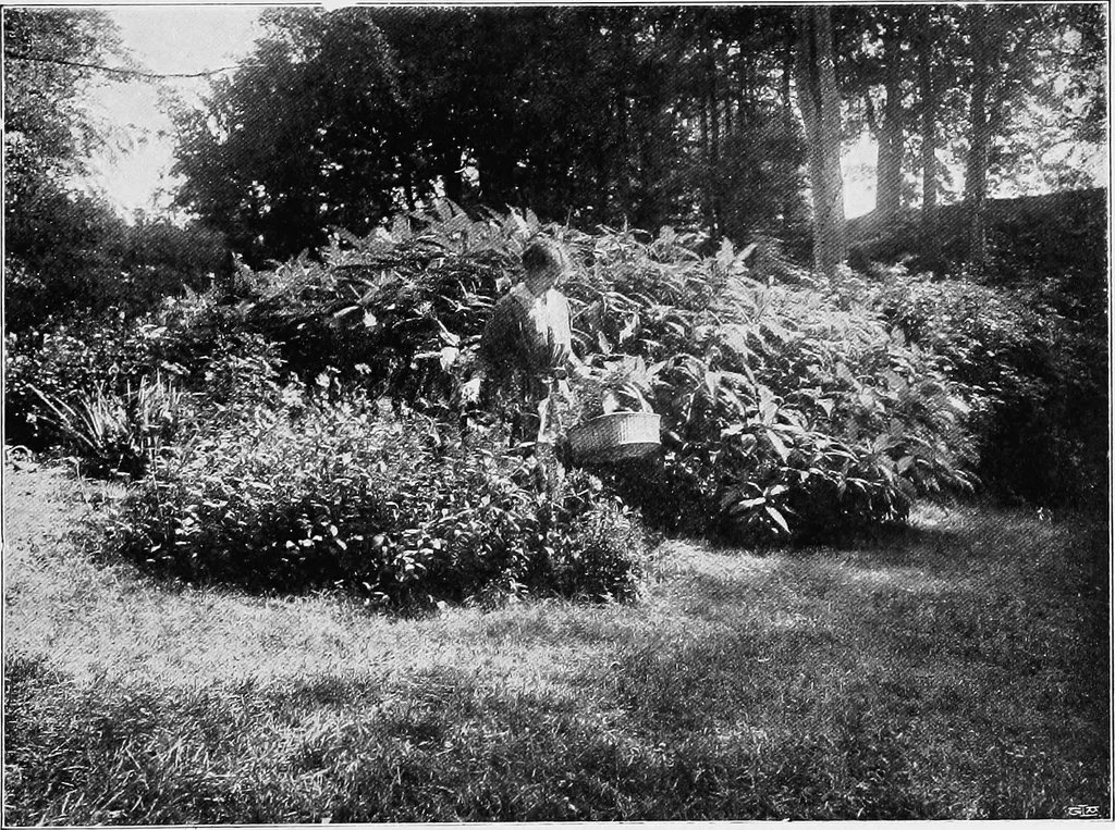 An illustration from The garden that we made, 1920, leaf 22