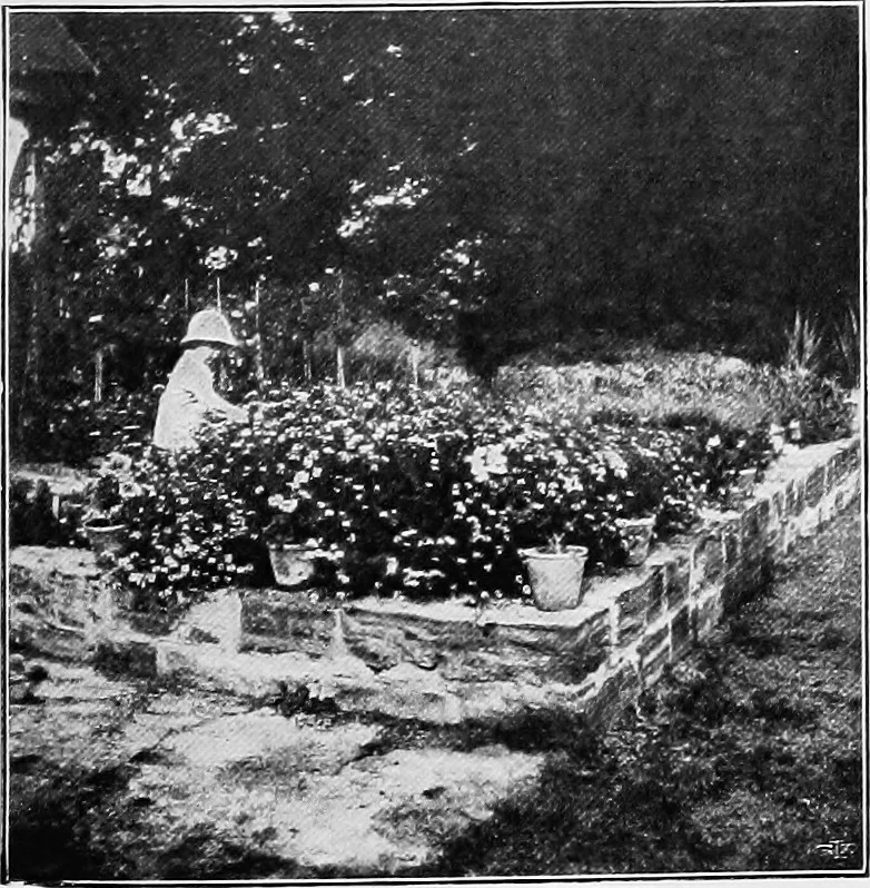 An illustration from The garden that we made, 1920, leaf 30