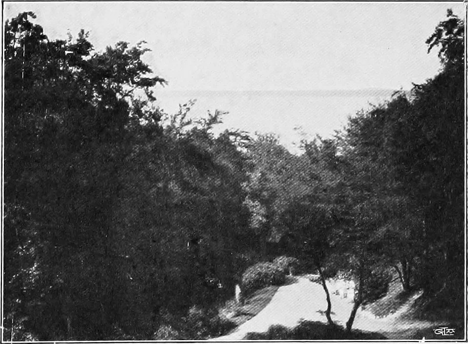 An illustration from The garden that we made, 1920, leaf 34