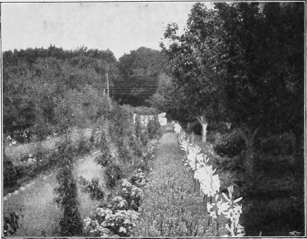 An illustration from The garden that we made, 1920, leaf 35