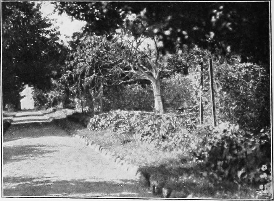 An illustration from The garden that we made, 1920, leaf 35