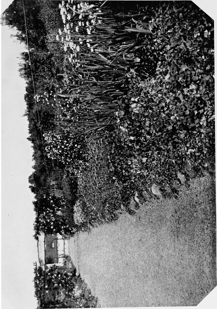 An illustration from The garden that we made, 1920, leaf 42