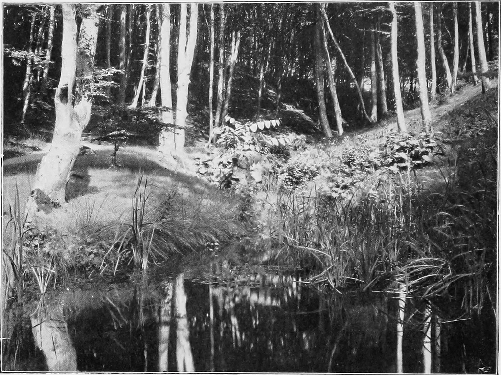 An illustration from The garden that we made, 1920, leaf 43