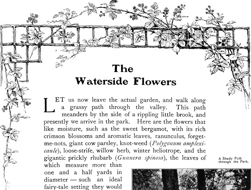 An illustration from The garden that we made, 1920, leaf 44