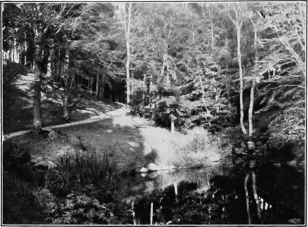An illustration from The garden that we made, 1920, leaf 47