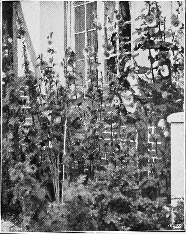 An illustration from The garden that we made, 1920, leaf 50