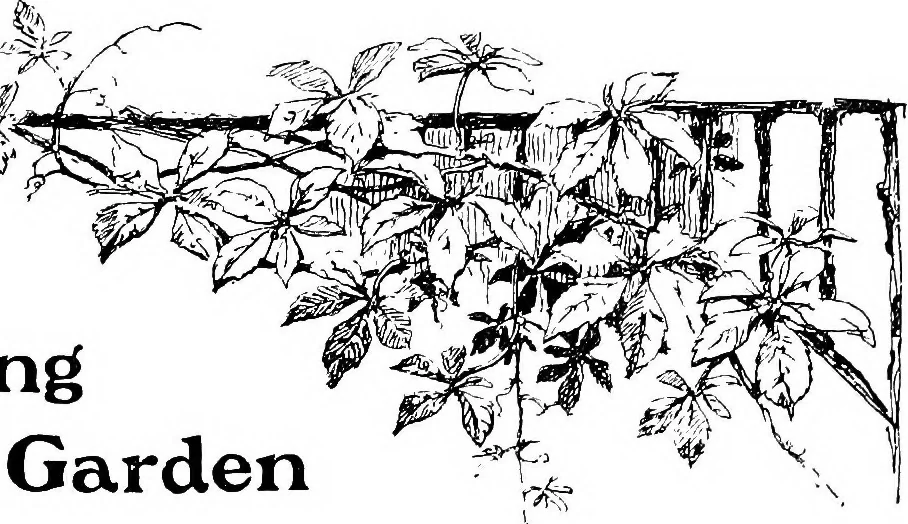 An illustration from The garden that we made, 1920, leaf 54