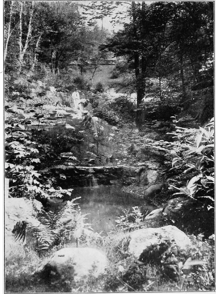 An illustration from The garden that we made, 1920, leaf 56