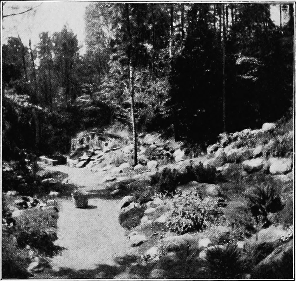 An illustration from The garden that we made, 1920, leaf 62