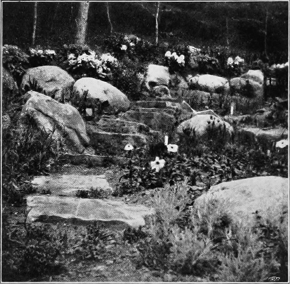 An illustration from The garden that we made, 1920, leaf 65