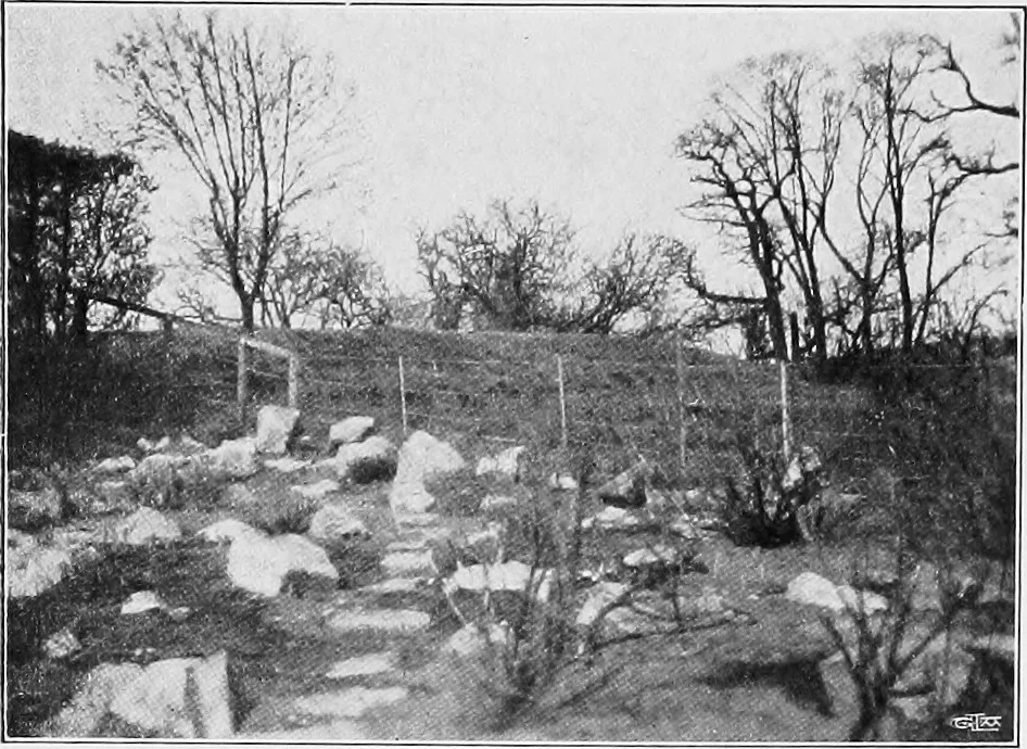 An illustration from The garden that we made, 1920, leaf 75