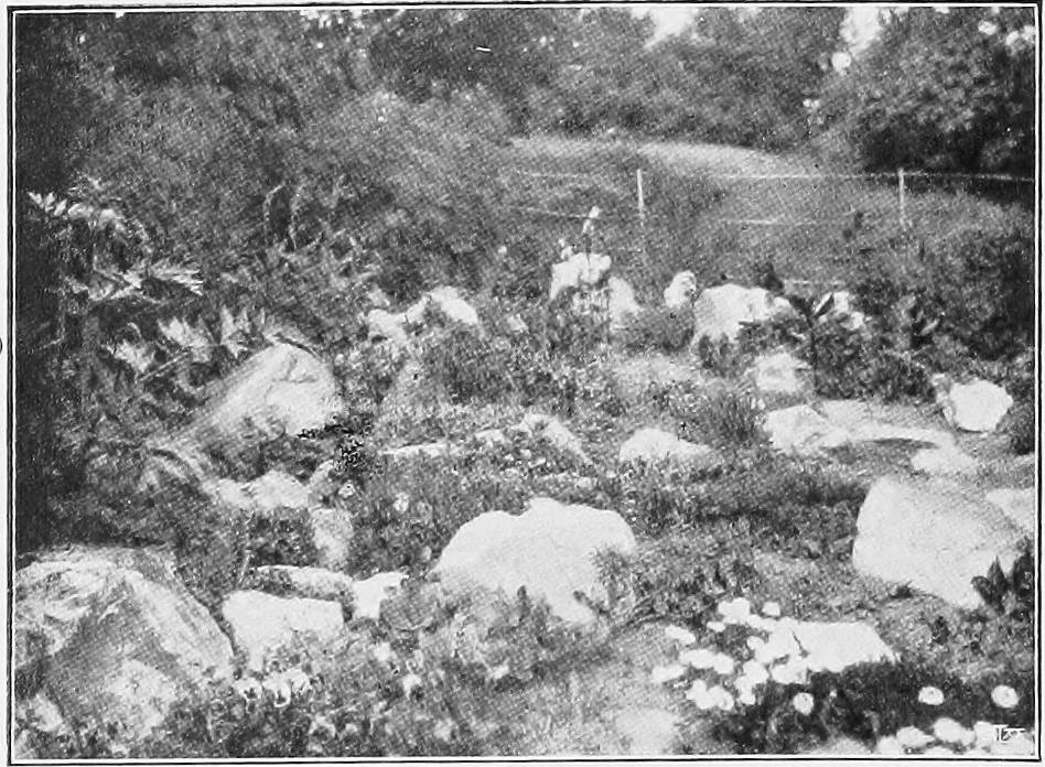 An illustration from The garden that we made, 1920, leaf 75