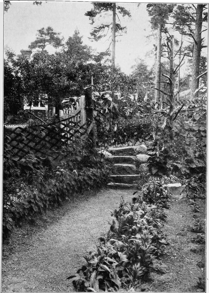 An illustration from The garden that we made, 1920, leaf 80