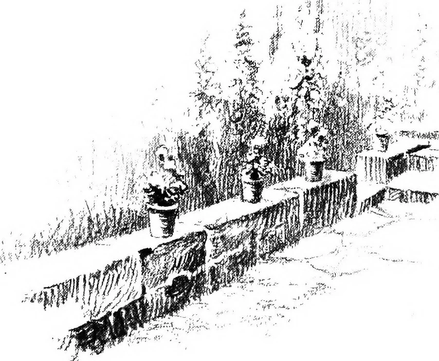 An illustration from The garden that we made, 1920, leaf 82
