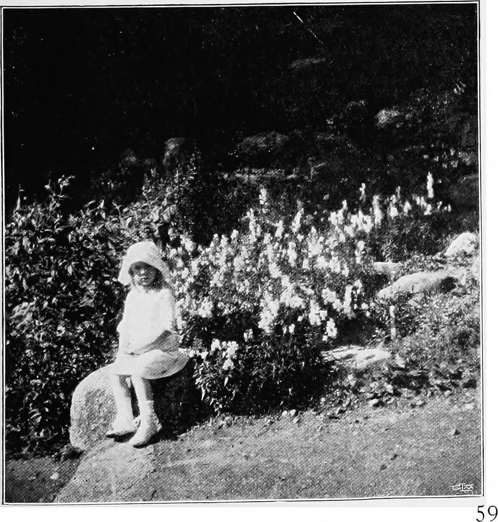 An illustration from The garden that we made, 1920, leaf 84