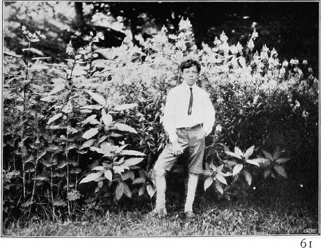 An illustration from The garden that we made, 1920, leaf 86