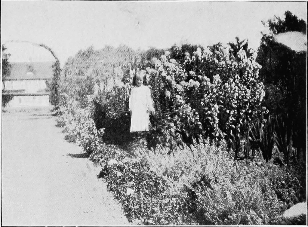 An illustration from The garden that we made, 1920, leaf 88