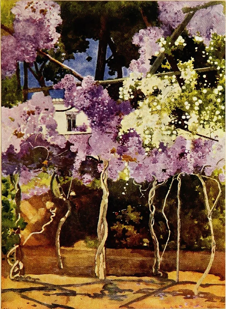 An illustration from Royal palaces & gardens, 1916, leaf 175