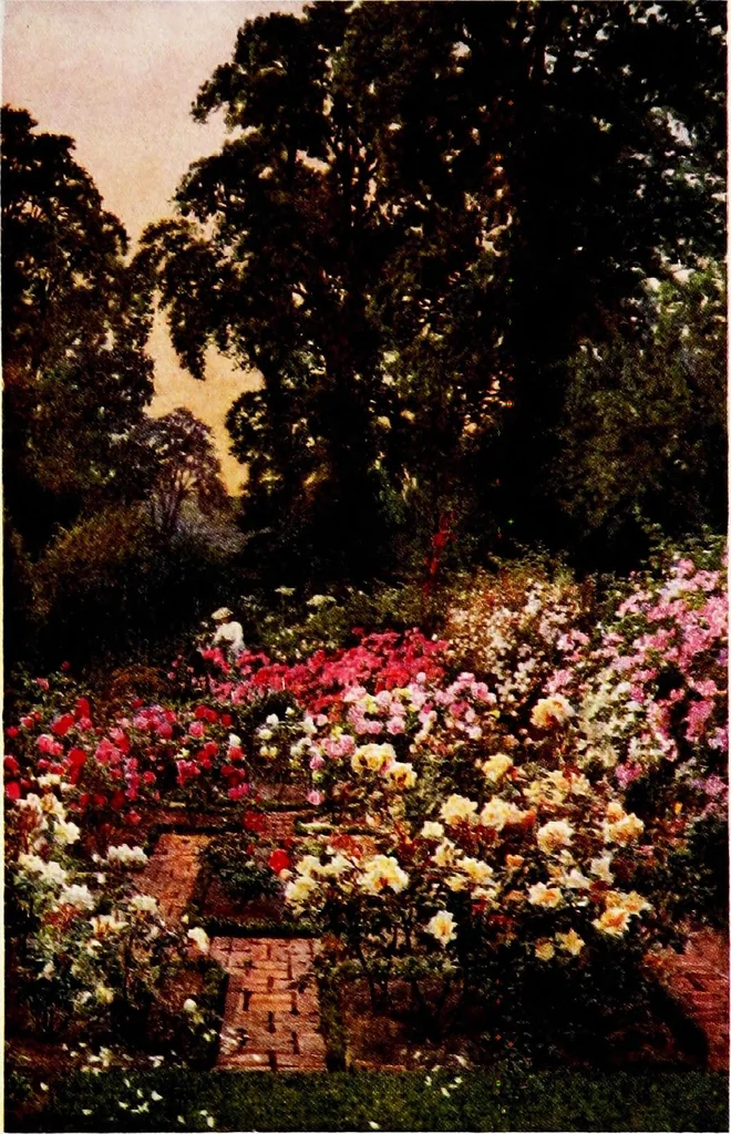 An illustration from Gardens of England, 1911, leaf 88