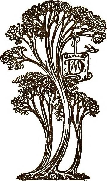 An illustration from Flower grouping in English, Scotch & Irish gardens; notes & 56 sketches in colour, 1907, leaf 13