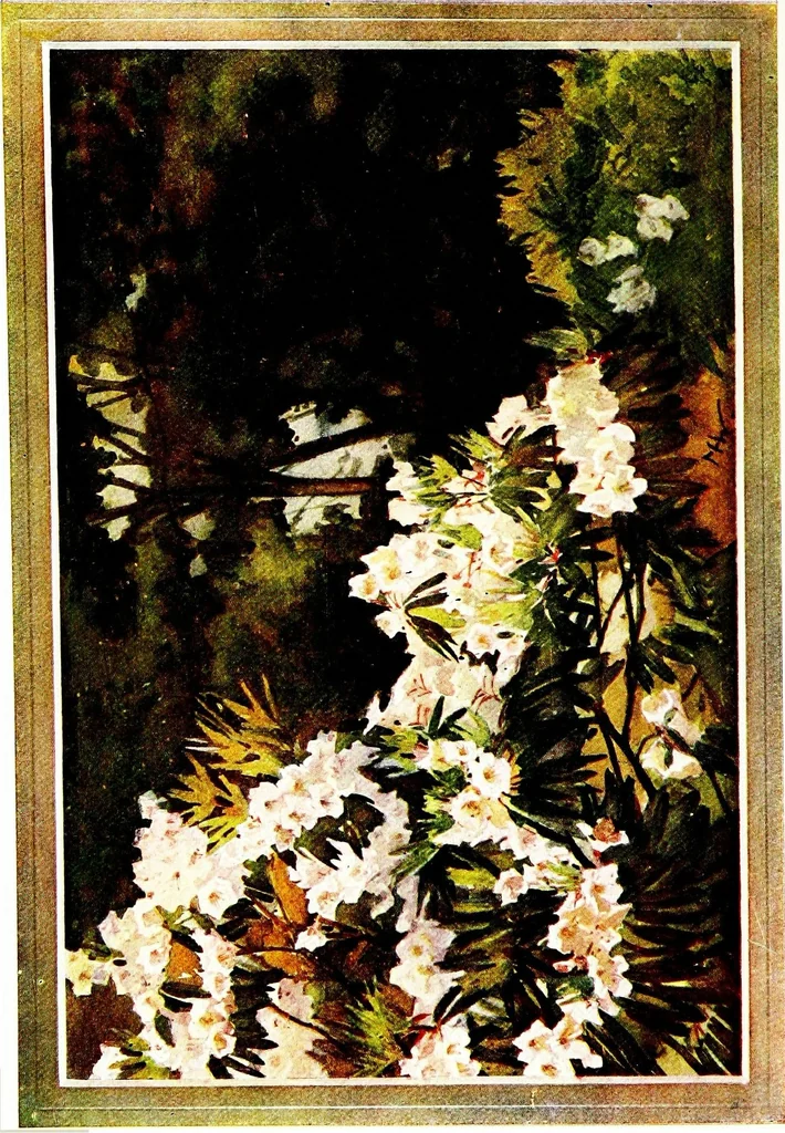 An illustration from Flower grouping in English, Scotch & Irish gardens; notes & 56 sketches in colour, 1907, leaf 176