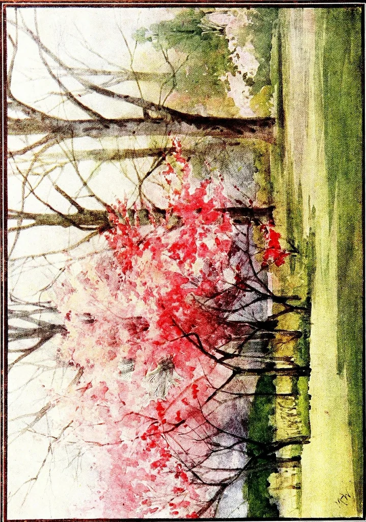 An illustration from Flower grouping in English, Scotch & Irish gardens; notes & 56 sketches in colour, 1907, leaf 228