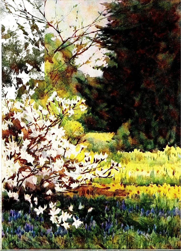 An illustration from Flower grouping in English, Scotch & Irish gardens; notes & 56 sketches in colour, 1907, leaf 234