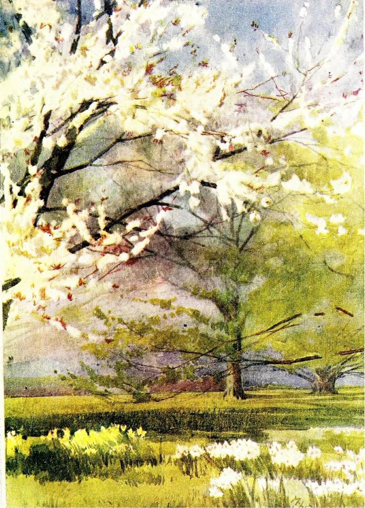 An illustration from Flower grouping in English, Scotch & Irish gardens; notes & 56 sketches in colour, 1907, leaf 243