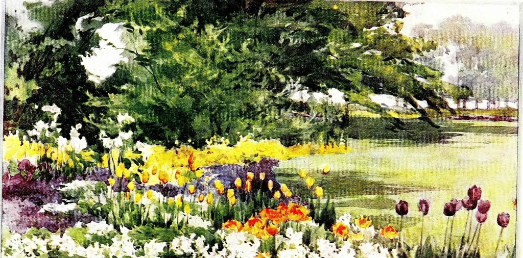 An illustration from Flower grouping in English, Scotch & Irish gardens; notes & 56 sketches in colour, 1907, leaf 266