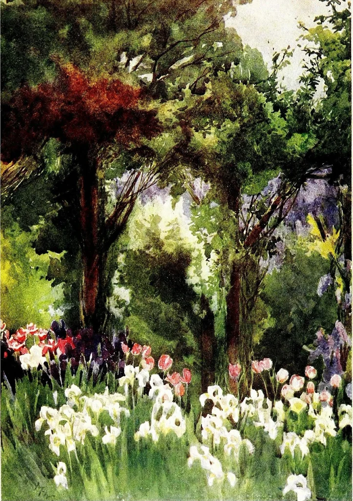 An illustration from Flower grouping in English, Scotch & Irish gardens; notes & 56 sketches in colour, 1907, leaf 285