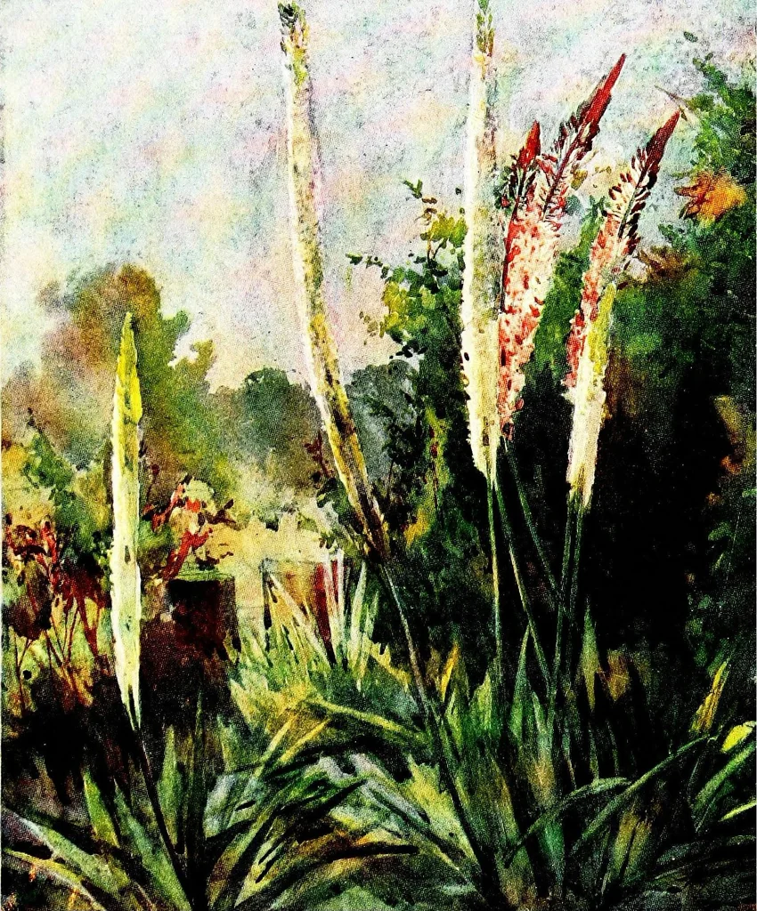 An illustration from Flower grouping in English, Scotch & Irish gardens; notes & 56 sketches in colour, 1907, leaf 299