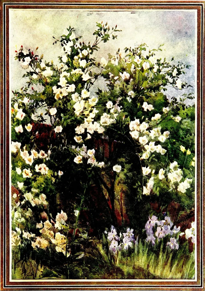An illustration from Flower grouping in English, Scotch & Irish gardens; notes & 56 sketches in colour, 1907, leaf 323