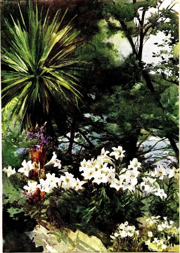 An illustration from Flower grouping in English, Scotch & Irish gardens; notes & 56 sketches in colour, 1907, leaf 52