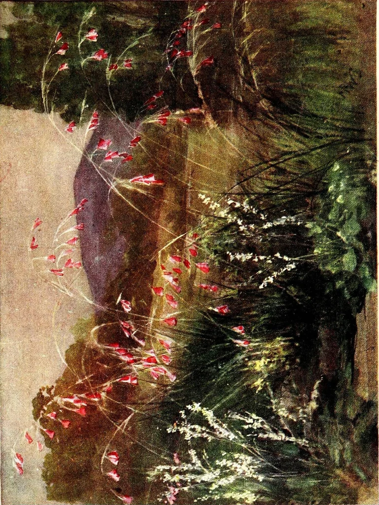 An illustration from Flower grouping in English, Scotch & Irish gardens; notes & 56 sketches in colour, 1907, leaf 77