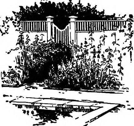 An illustration from The little garden, 1921, leaf 59