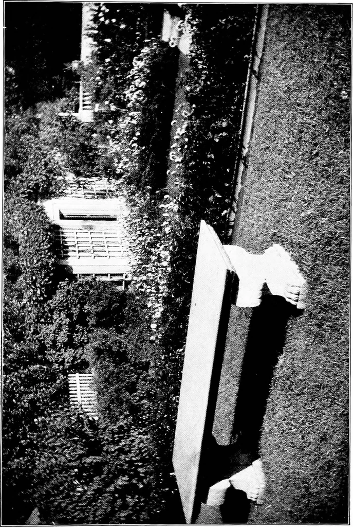 An illustration from The little garden, 1921, leaf 64
