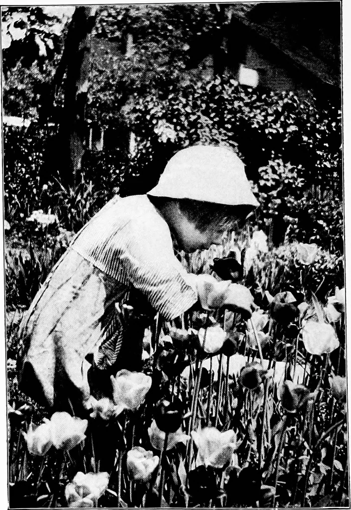 An illustration from The little garden, 1921, leaf 7
