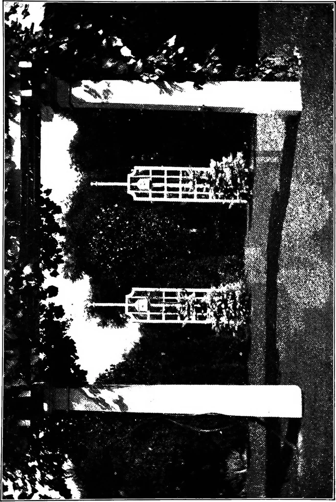 An illustration from The little garden, 1921, leaf 70