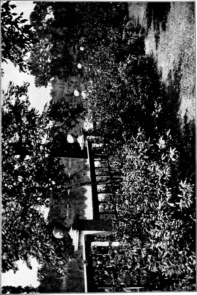 An illustration from The little garden, 1921, leaf 80