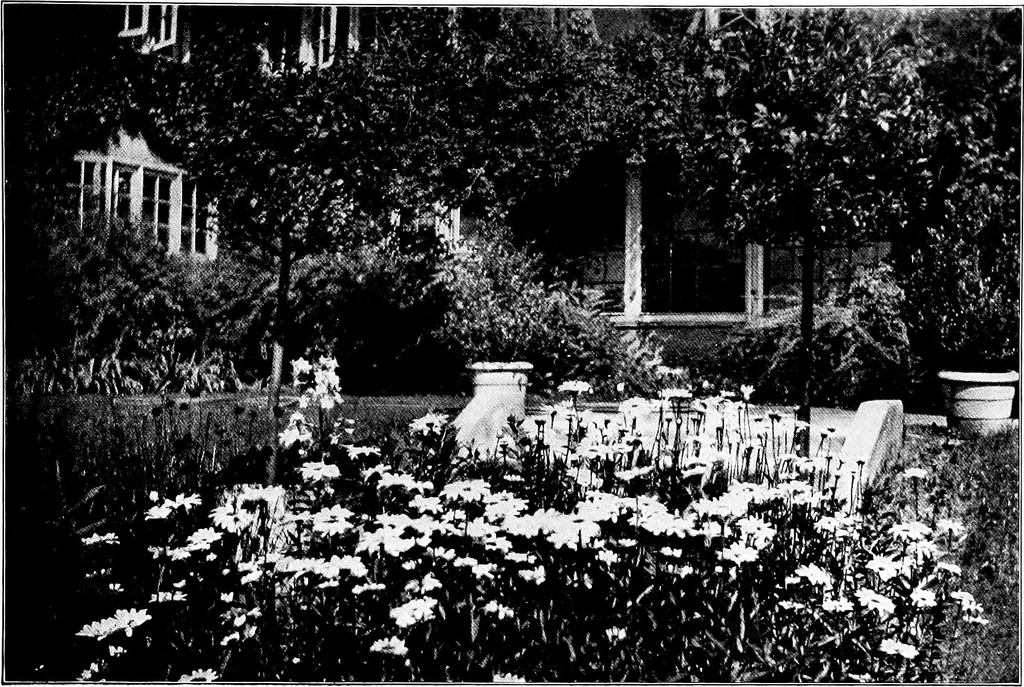 An illustration from The little garden, 1921, leaf 90