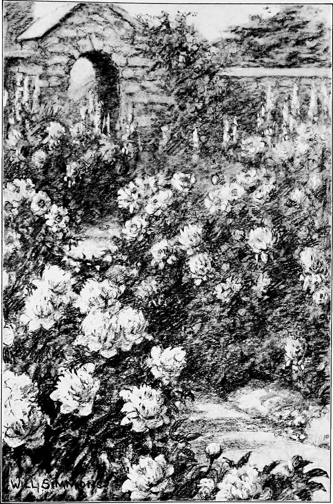 An illustration from My garden, 1920, leaf 112