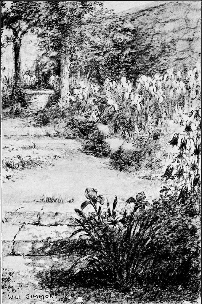 An illustration from My garden, 1920, leaf 198