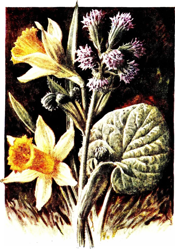 An illustration from That rock-garden of ours, 1909, leaf 195